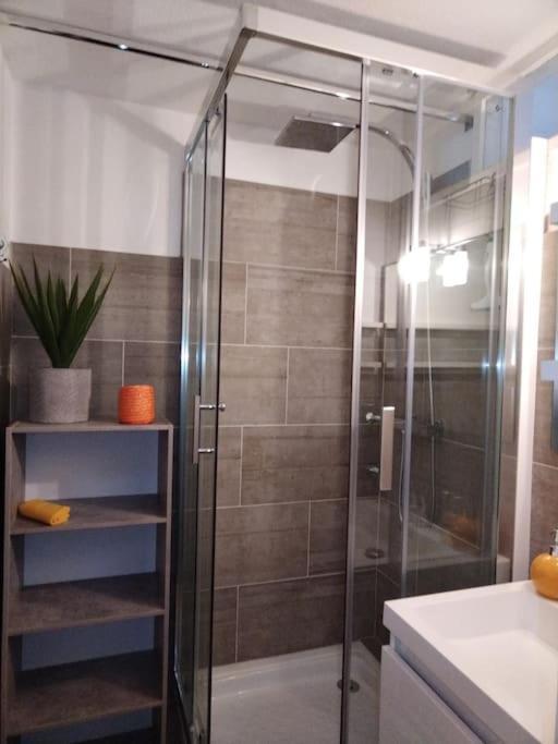 Appartement Dans Une Residence Calme Saint-Lary-Soulan Eksteriør billede
